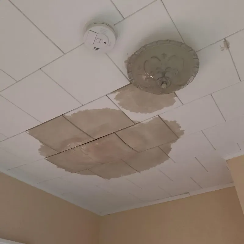 Ceiling Water Damage Repair in Rutherford, TN
