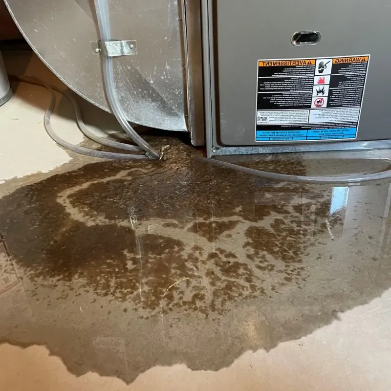 Pipe Burst and Leak Restoration in Rutherford, TN
